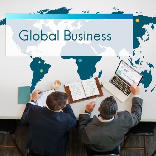 International Business Consultant